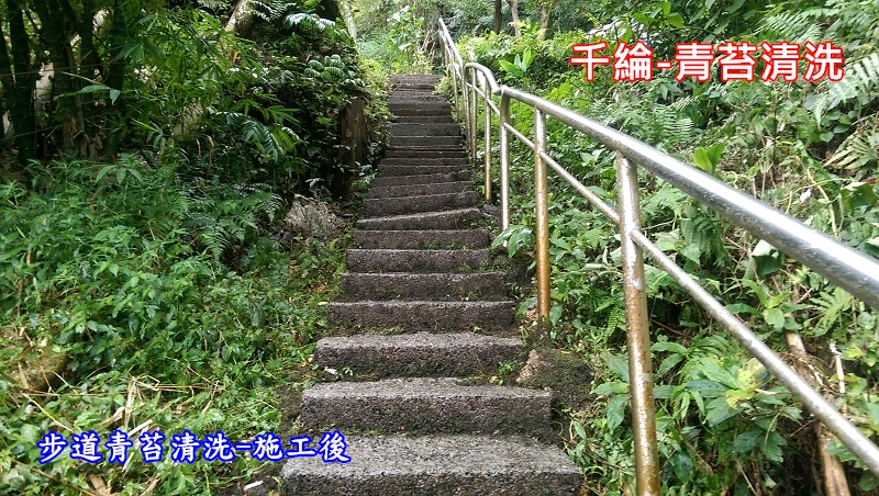 千綸-步道青苔清洗